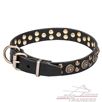 Brass Plated hardware for leather canine collar