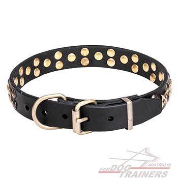 Collar for dogs with rust resistant hardware