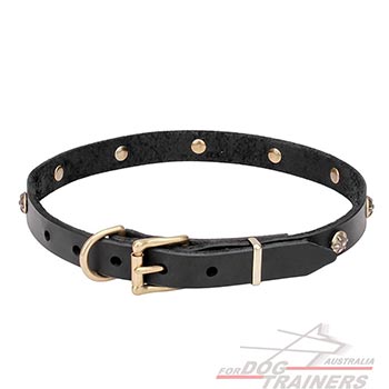 Narrow Leather Dog Collar with Brass Buckle and D-ring