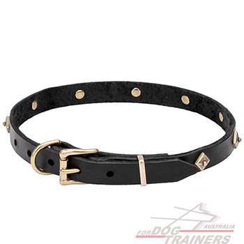 Narrow Leather Dog Collar Equipped with Brass Hardware