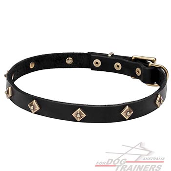 Narrow leather dog collar with studs