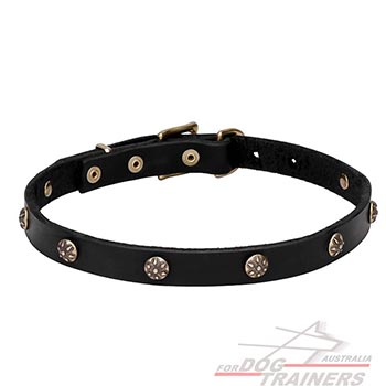 Natural leather dog collar with Round Studs