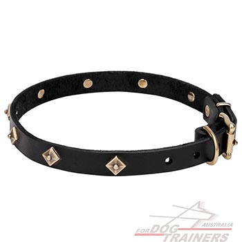 Durable Dog Collar Decorated with Brass Studs