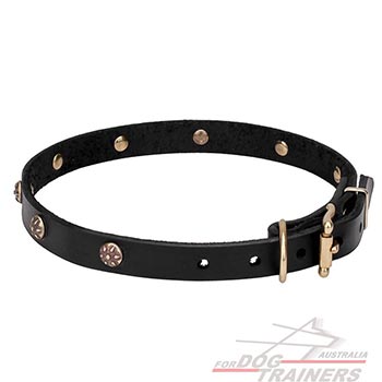 Narrow Leather Dog Collar for Training and Walking