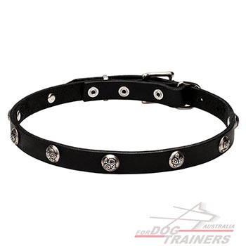 Full grain natural leather dog collar adorned with studs