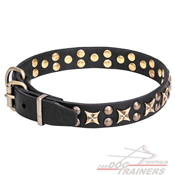 Full grain natural leather dog collar with studs