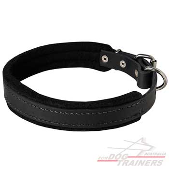 Leather dog collar full felt padding