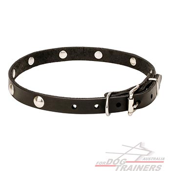 Natural leather dog collar with studs