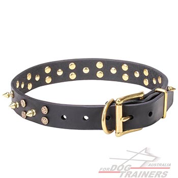 Full Grain Natural Leather Dog Collar With Brass Hardware