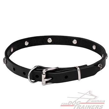 Durable Dog Collar with Rust-proof Hardware