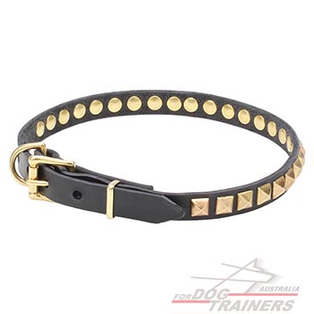 Studded Leather Dog Collar with Brass Hardware