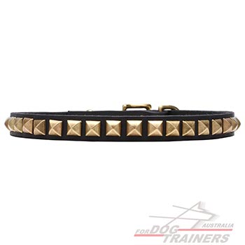 Natural leather dog collar with studs