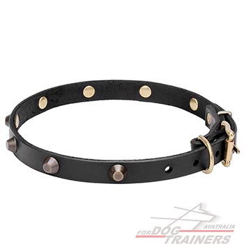 Full grain natural leather dog collar with studs