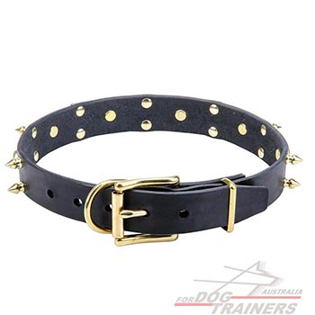 Leather collar with rust-proof brass hardware