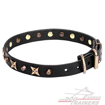 Stylish Walking Leather Dog Collar