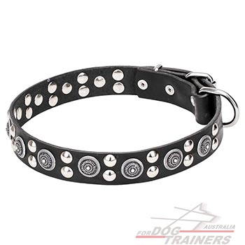 Fashion Design Dog Collar with Decoration