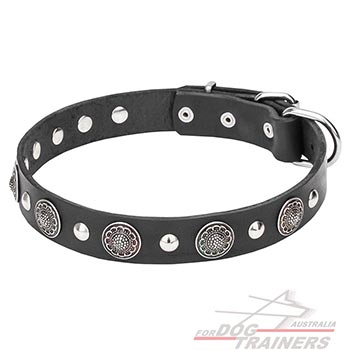 Leather Dog Collar with Shiny Conchos and Studs