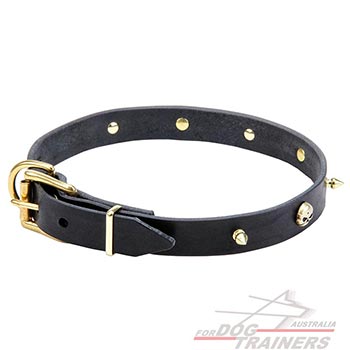 Strong Leather Dog Collar