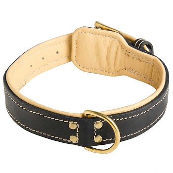 Leather Dog Collar with Soft Inside Covering
