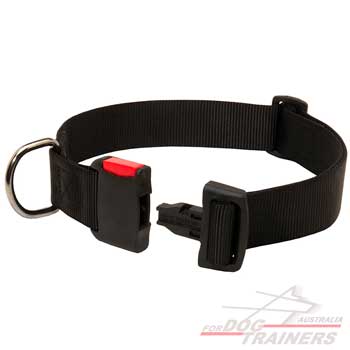 Training Nylon Collar is Easy in Use