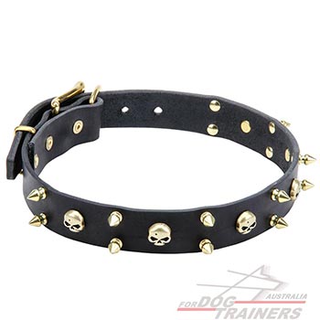 dog leather collar