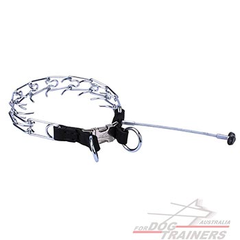 Chrome Plated Pinch Dog Collar