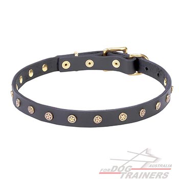 Reliable leather dog collar