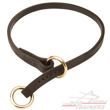 Choke collar for effective dogs training