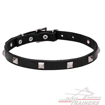 Natural leather dog collar with studs