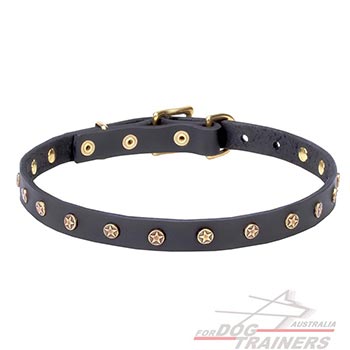 Fashion Exclusive Design Dog Collar