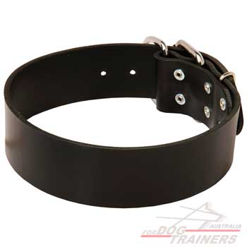 Canine leather wide collar