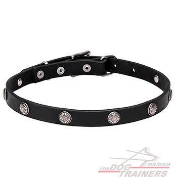 Natural leather dog collar with studs