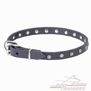 Reliable Hardware on elegant leather dog collar