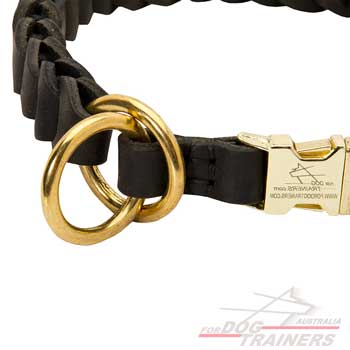 Leather Choke Collar for Efficient Training