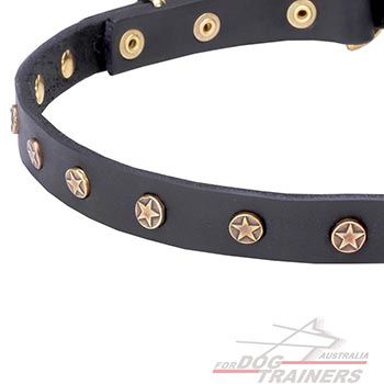 Thin Leather Dog Collar