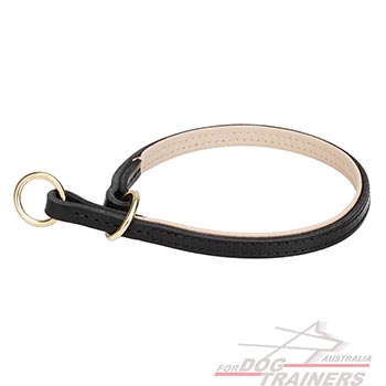 Leather dog collar with soft padding