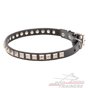 Full grain natural leather dog collar with studs