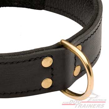 Leather dog collar with D-ring