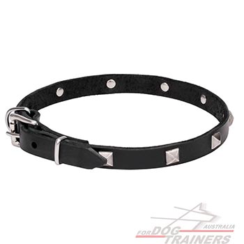 Full grain natural leather dog collar with studs