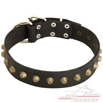  Dog Collar made of dog safe materials