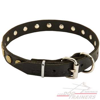 Leather dog collar with leash attachment 