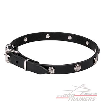 Narrow Leather Dog Collar with Reliable Hardware