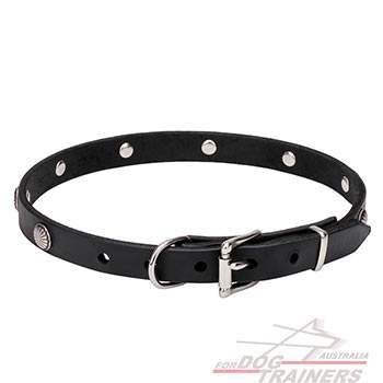 Natural Leather Dog Collar with Chrome Plated Hardware