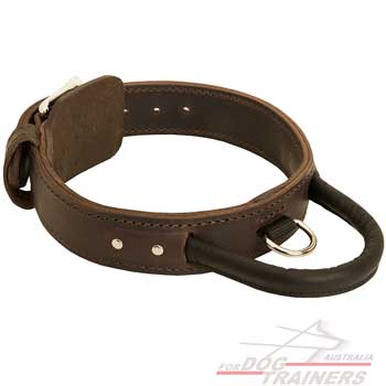 Leather dog collar for off leash training