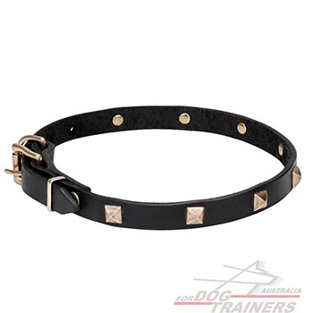 Full grain natural leather dog collar with studs