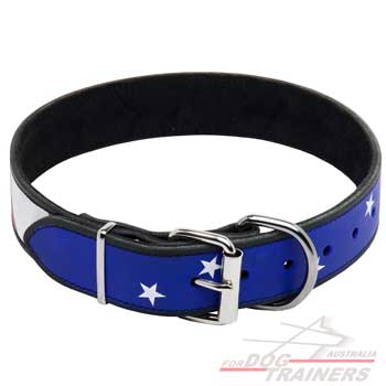 Stylish painted leather collar