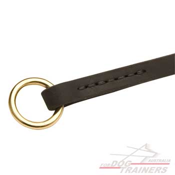 Dog collar with strong O-ring for the leash