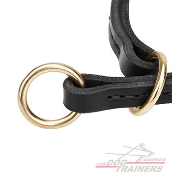 Dog collar with O-ring for leash attachment