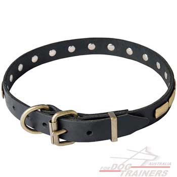 Dog collar with sturdy hardware