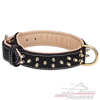 Dog collar with soft nappa lining